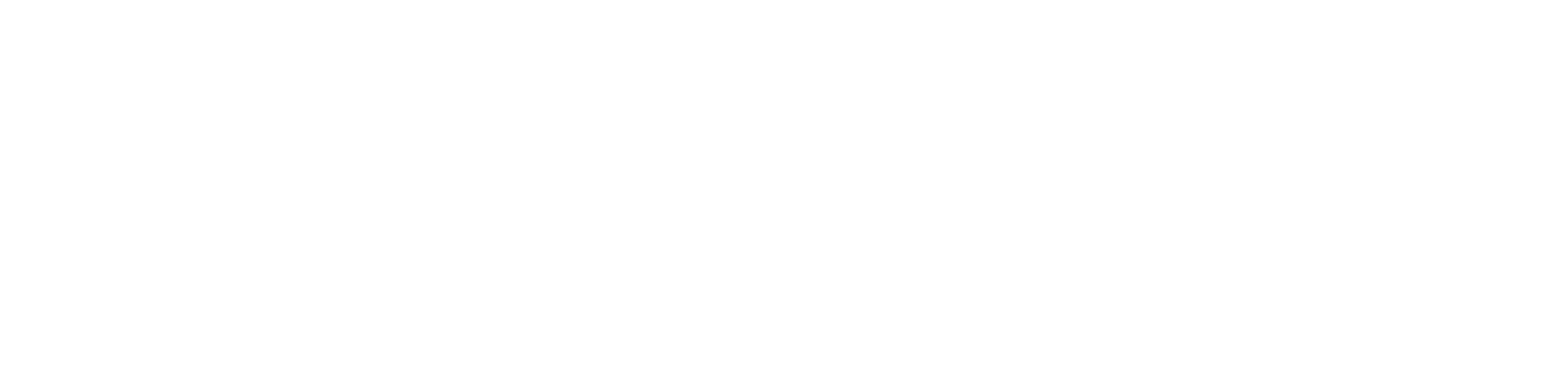 Fábio Sttêvám logo